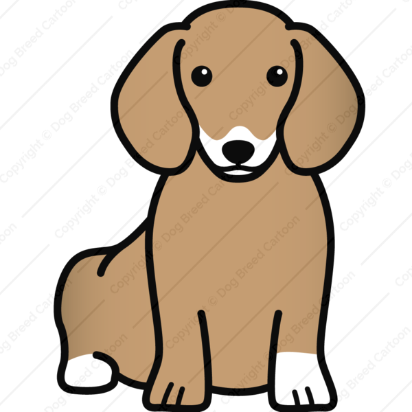 Edition Dog Breed Cartoon Download Your - Dachshund Clipart (600x600), Png Download
