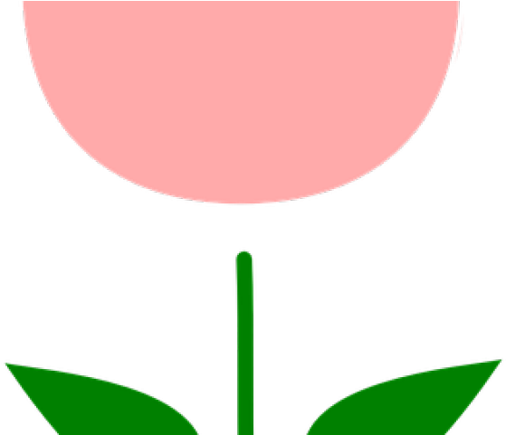 Tulip Clipart Tulip Bud - Png Download (640x480), Png Download