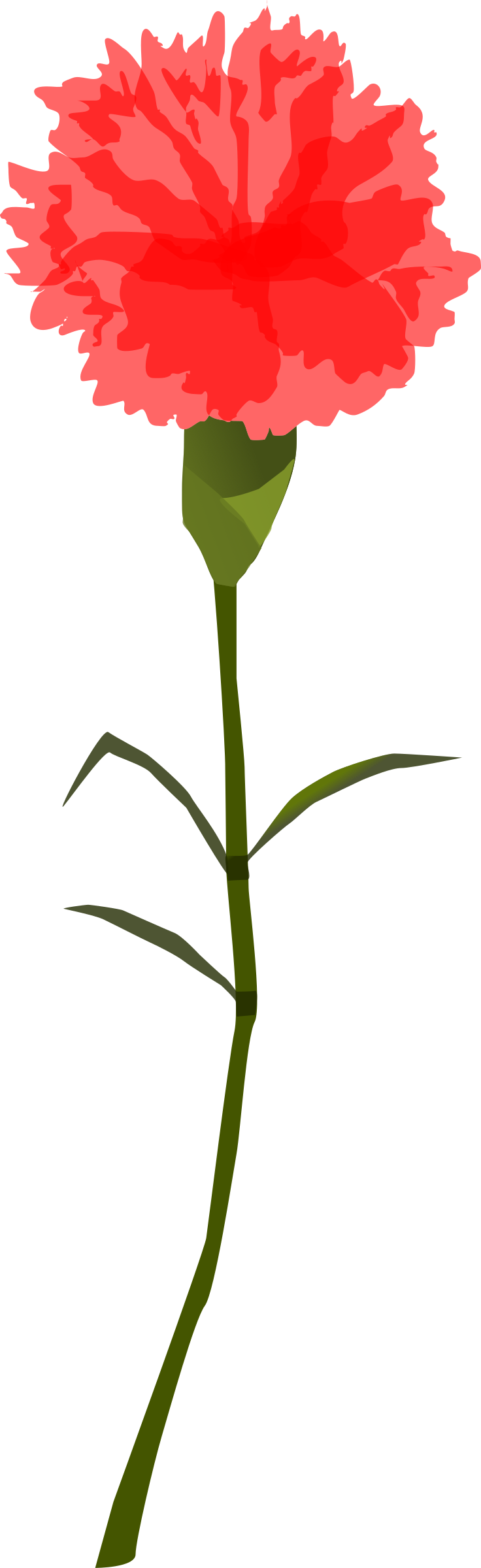 Download Svg Black And White Download Broken Icons - Carnation Png Transparient Clipart (736x2400), Png Download