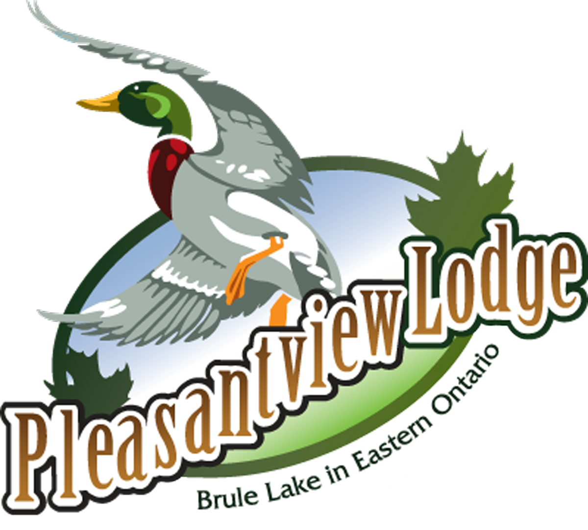 Pleasantview Lodge Plevna, Ontario - Mallard Clipart (1200x1083), Png Download