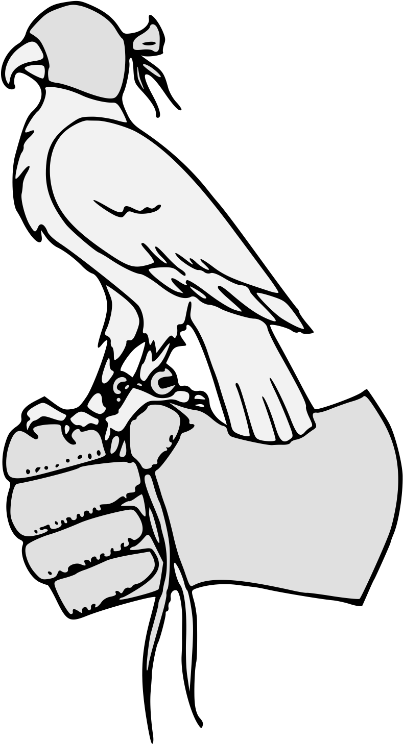 Pdf - Parrot Clipart (918x1481), Png Download