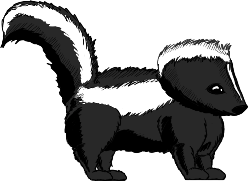 Skunk Clipart Striped Skunk - Transparent Skunk - Png Download (800x586), Png Download