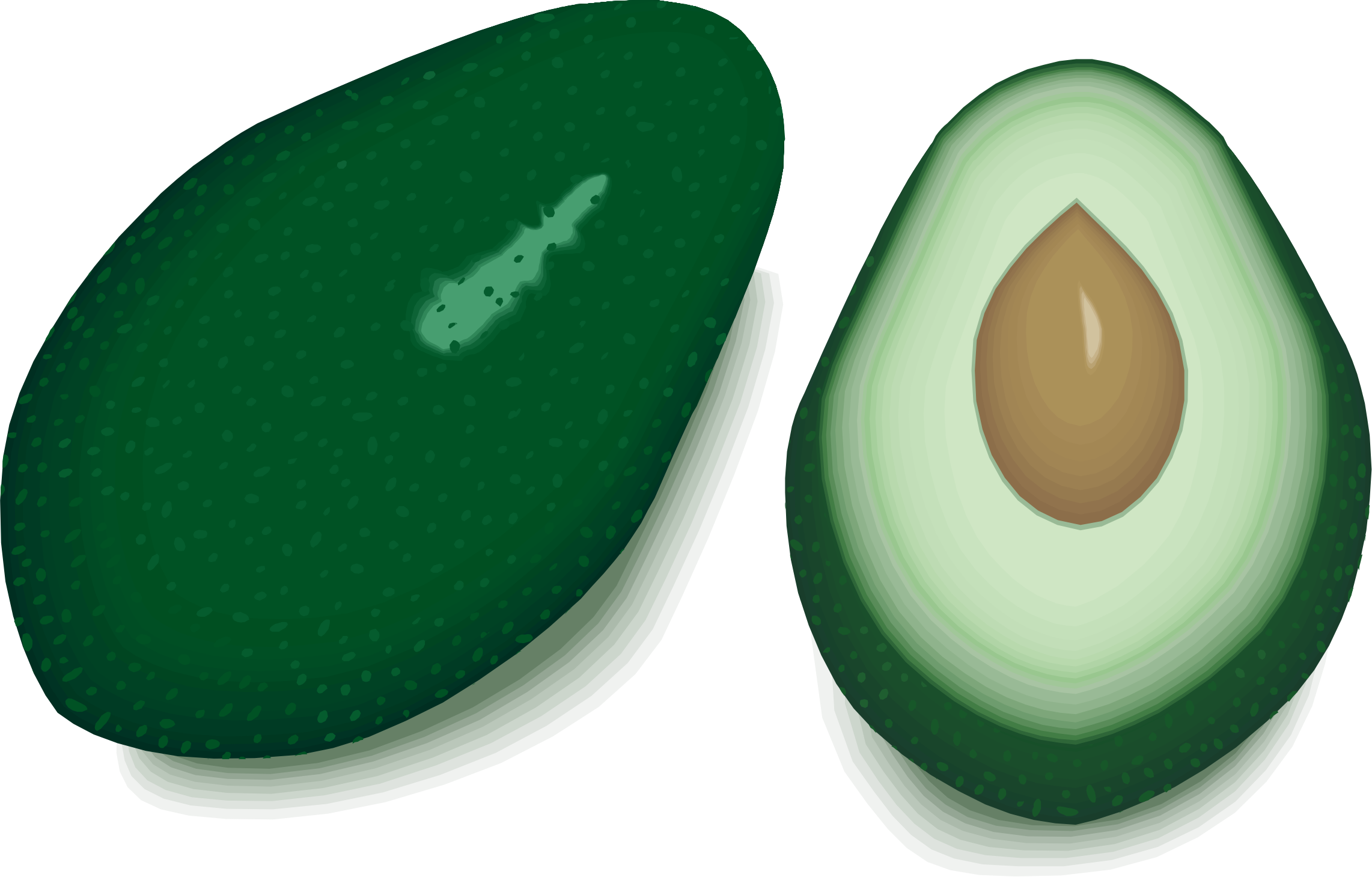 Avocado Clipart (2283x1459), Png Download