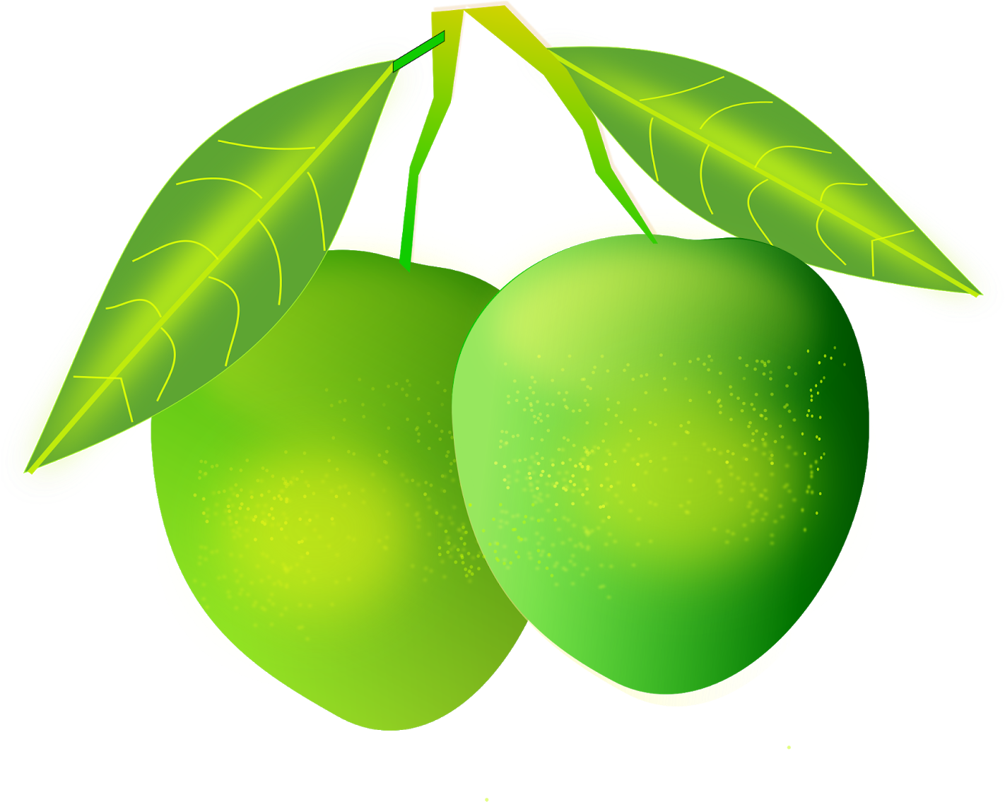 Fresh Mango - Mango Png Clipart (1600x1200), Png Download
