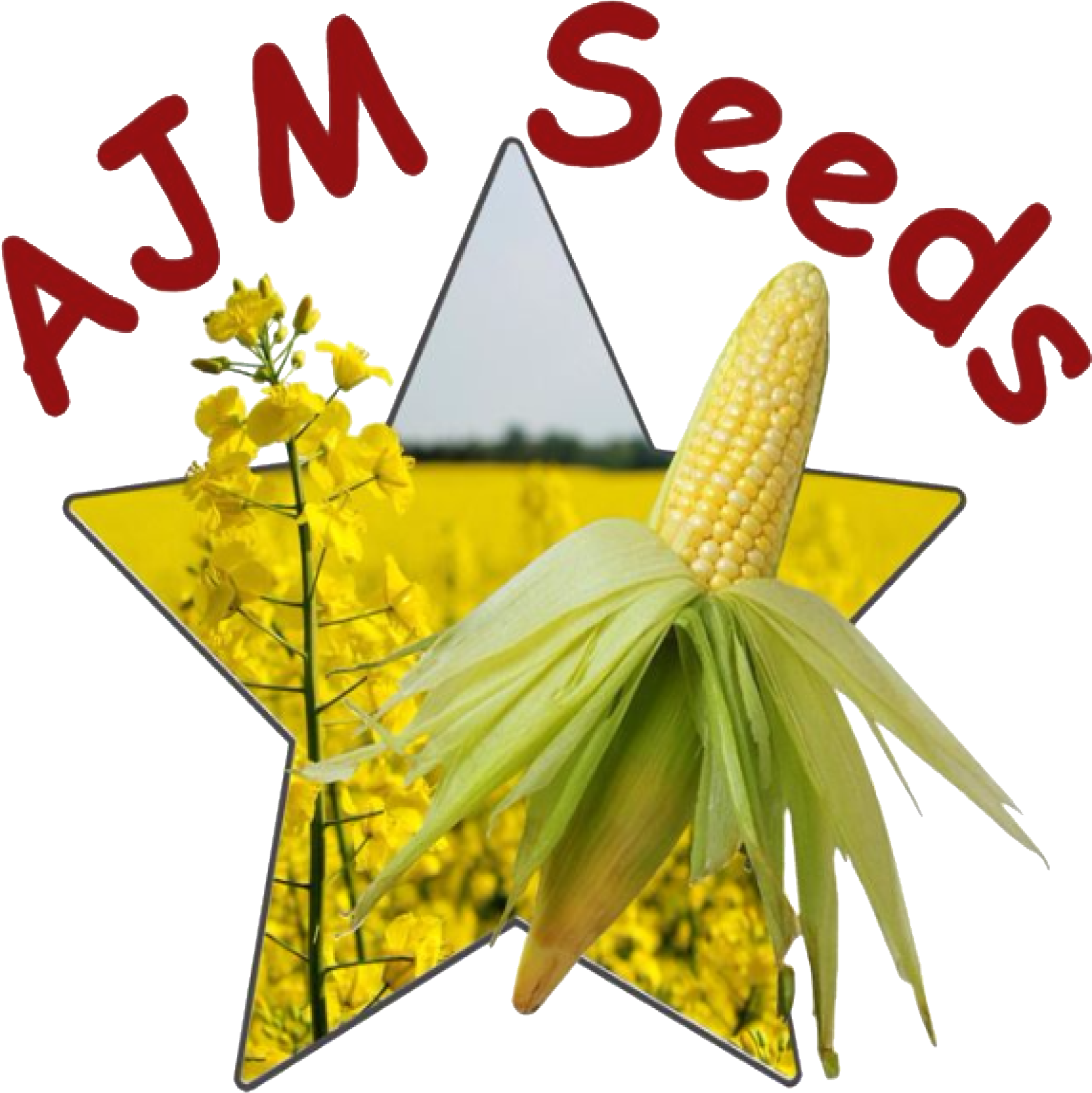 Anthurium Clipart (1744x1761), Png Download