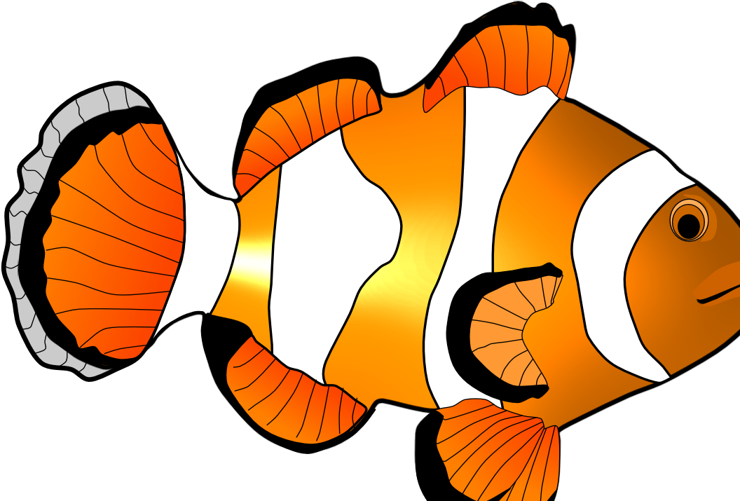 Home Images Clown Fish Clip Art Clown Fish Clip Art - Clip Art - Png Download (1067x715), Png Download