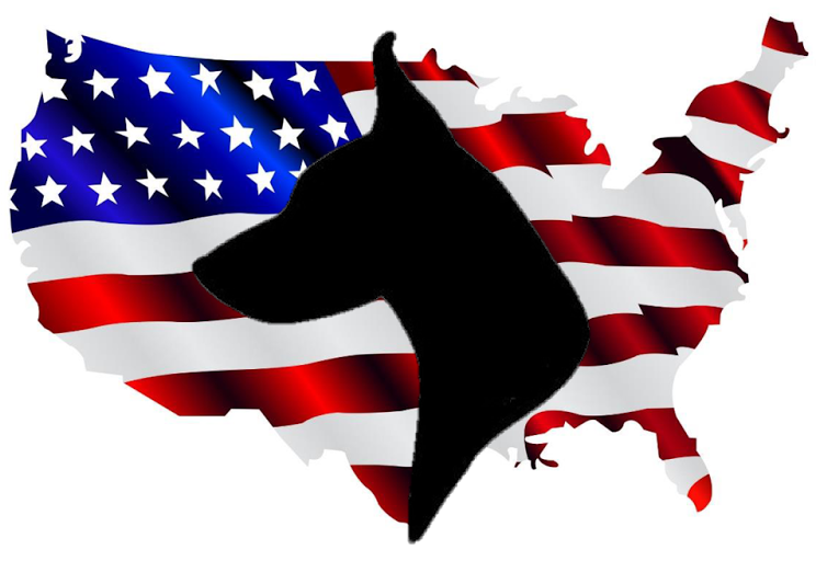 **we Do Require All Adopters To Fill Out An Application - Distressed High Resolution American Flag Clipart (1237x1600), Png Download