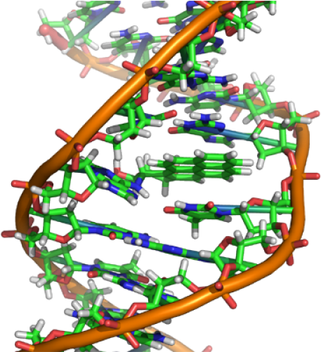 New Technologies Often Have Unforeseeable Consequences - Ethidium Bromide Dna Structure Clipart (500x500), Png Download
