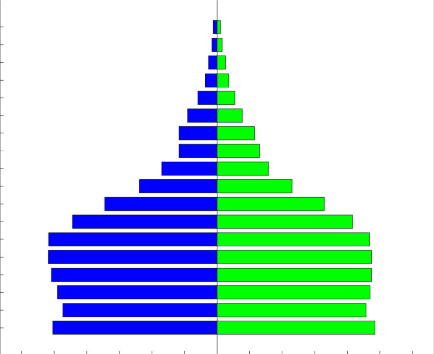 The Age Pyramid Of The Libyan Population In The Eastern - Epidemiologic Transition Model Stages Population Pyramid Clipart (850x693), Png Download