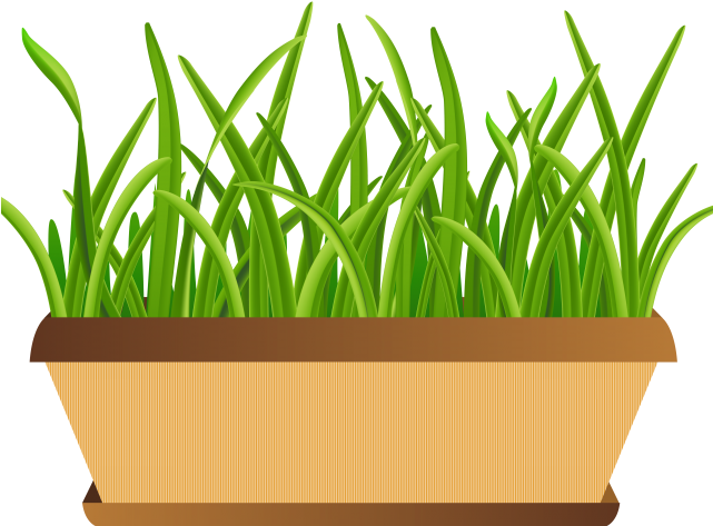 Pot Plant Clipart Bucket Flower - Flower Pots Clipart Transparent - Png Download (640x480), Png Download