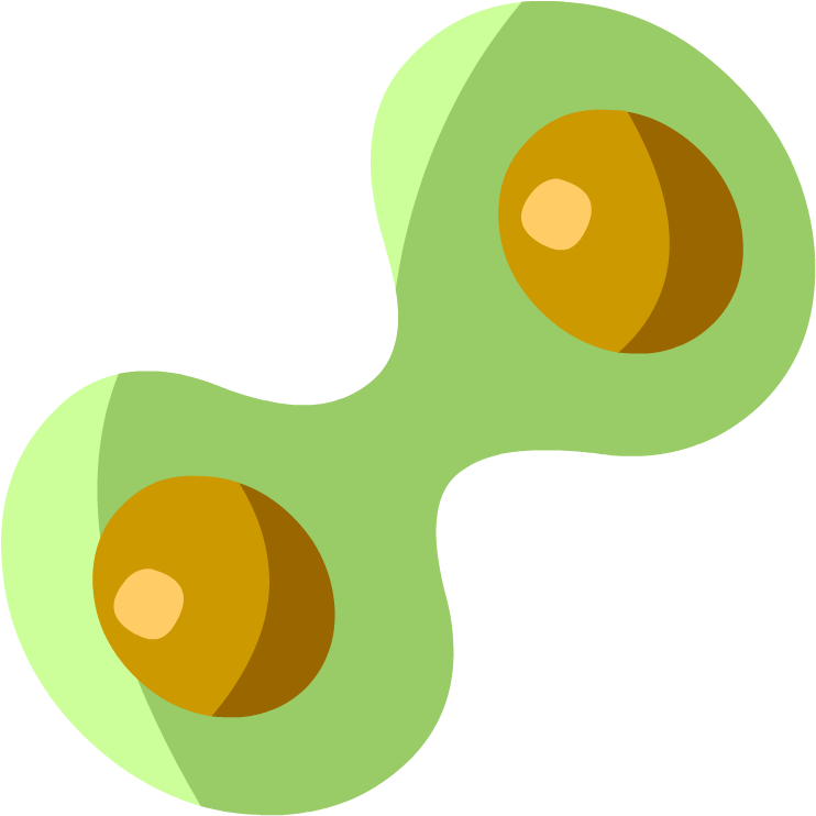 Mitosis - Mitosis Brainpop Clipart (880x880), Png Download