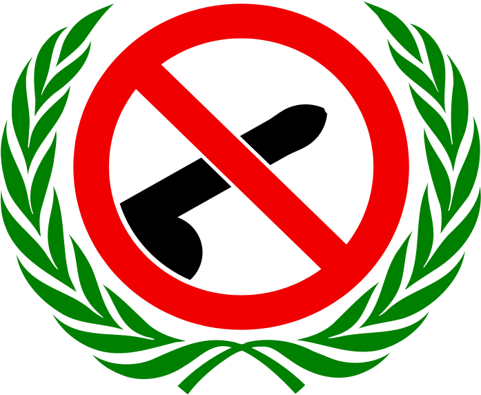 295 × 240 Pixels - United Nations Clipart (738x600), Png Download