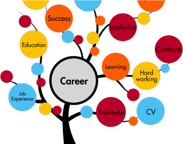 Professional Clipart Engineering Student - Career Guidance And Counselling - Png Download (640x480), Png Download