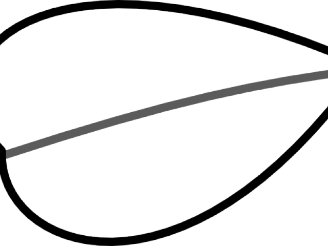 Circle Clipart (640x480), Png Download
