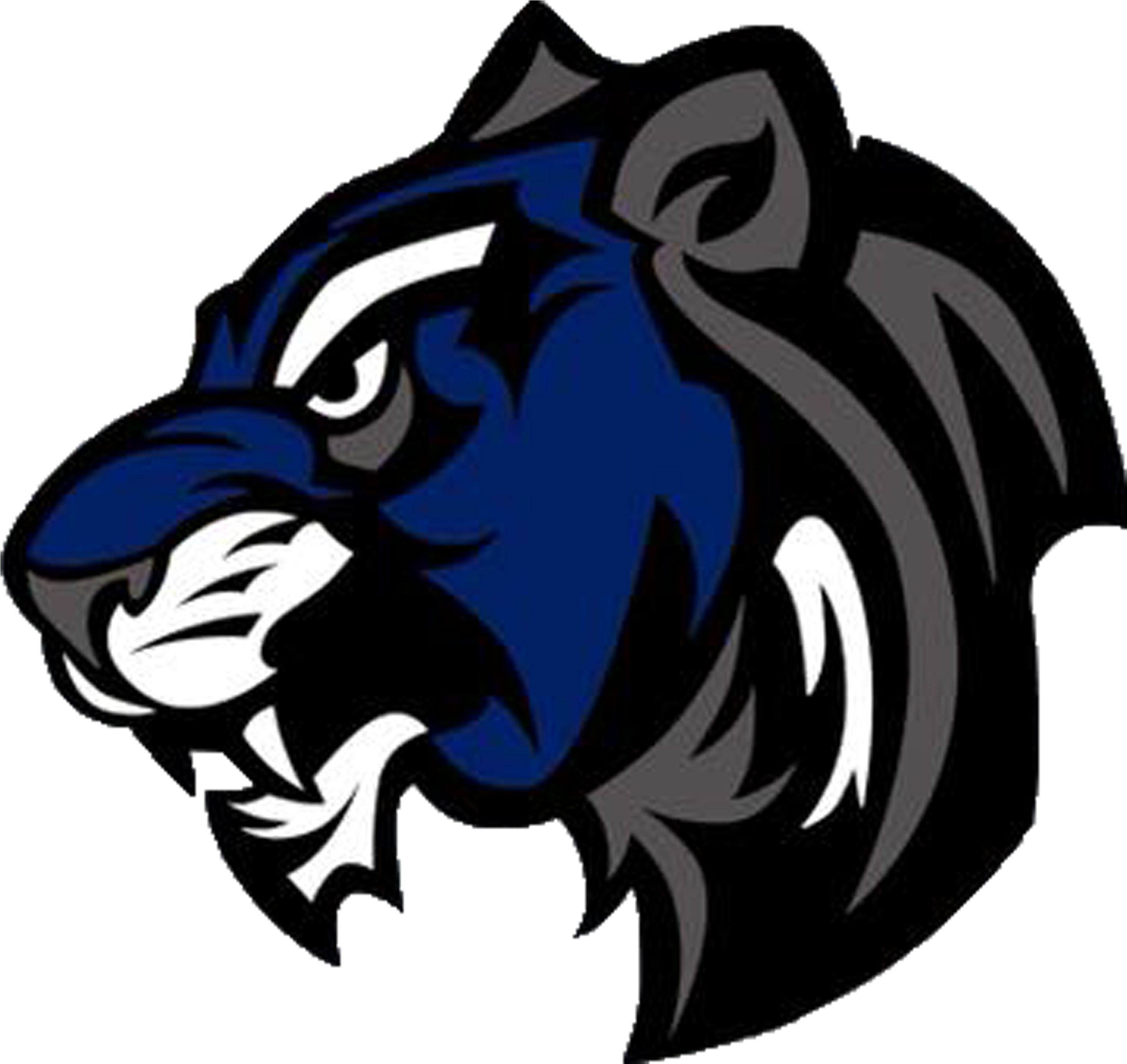 Gefa Weekly Predictions Mt Lions Shock - Wildcat Mascot Clipart (3000x3000), Png Download