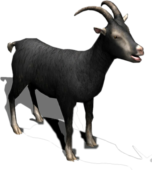 Black Horns Milk Cattle Sheep Eid Muslim - Goat Clipart (599x670), Png Download