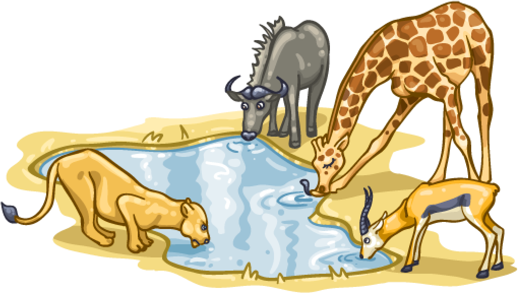 Watering Hole - Clip Art - Png Download (1024x1024), Png Download