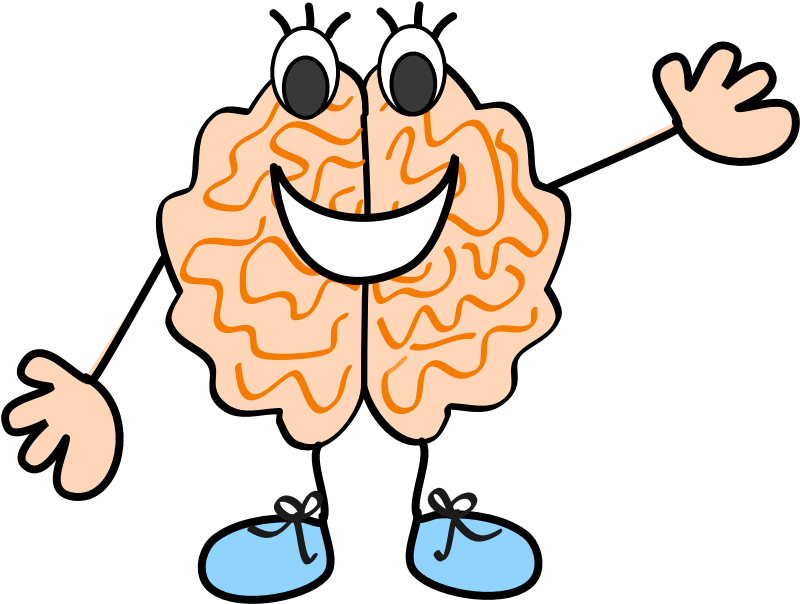 Brain Clipart Png Transparent Png (804x611), Png Download