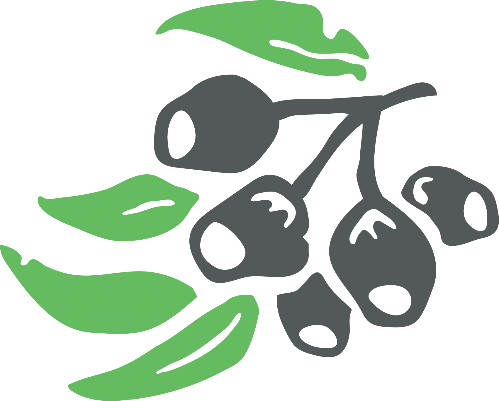 Art, Gardening, Music, French & Speech Therapy Clipart (1702x1369), Png Download