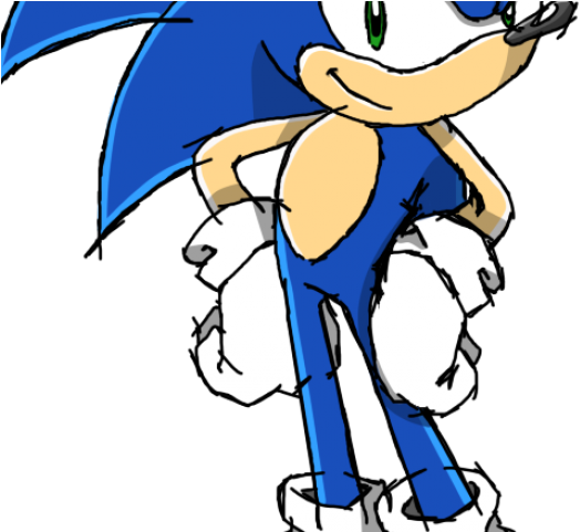 Hedgehog Clipart Standing - Sonic The Hedgehog - Png Download (640x480), Png Download