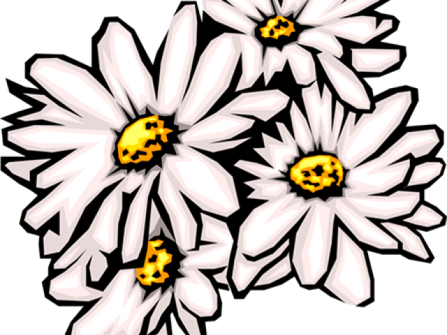 Daisy Clip Art - Png Download (640x480), Png Download