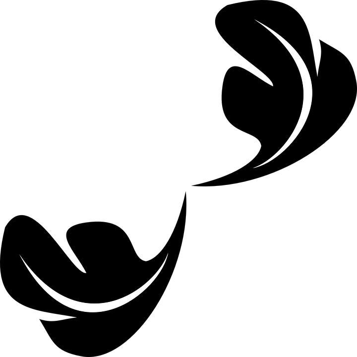 Clip Art Royalty Free Leave Free On Dumielauxepices - Flourish Leaf - Png Download (720x720), Png Download