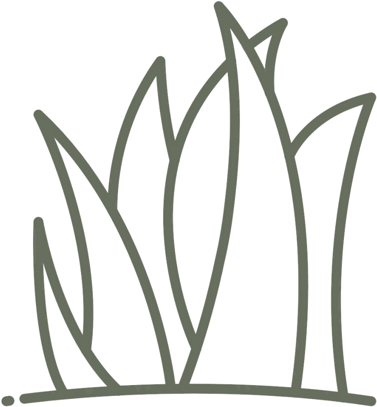 Landscape Design - Grasses Clipart (1024x1024), Png Download