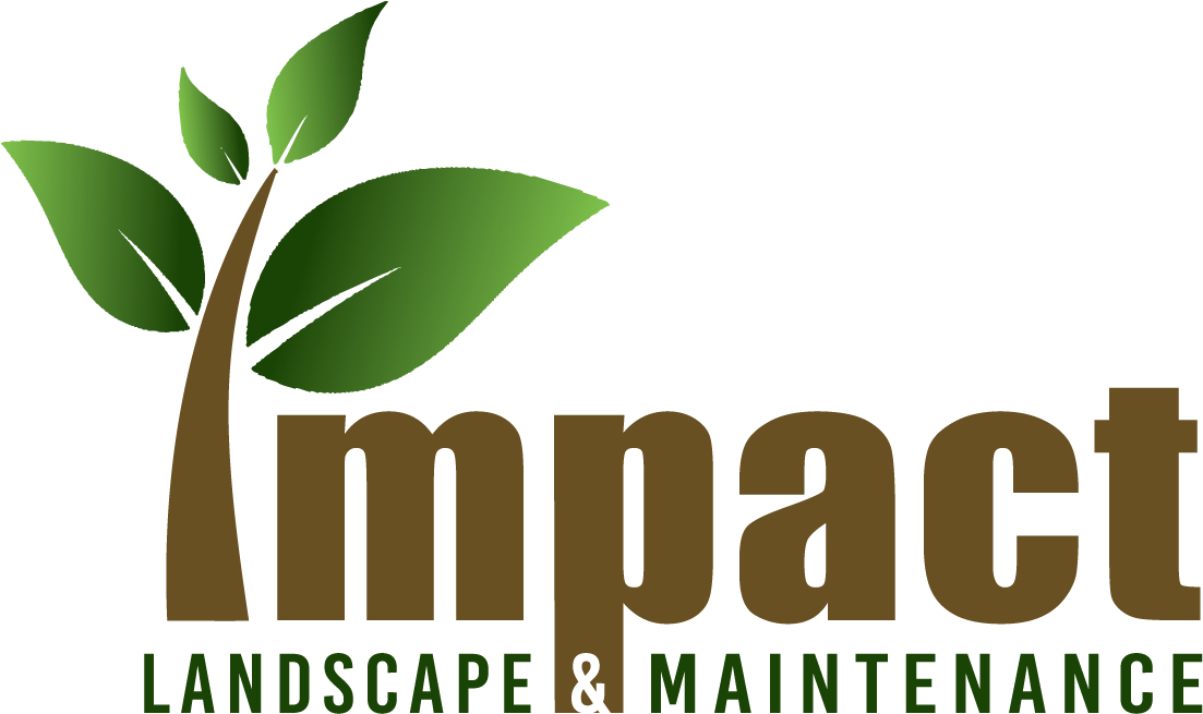 Font To Use With Impact Clipart (1180x685), Png Download