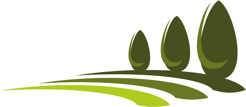 What Is Lawn And Types Of Lawn - Garden Clipart (834x834), Png Download