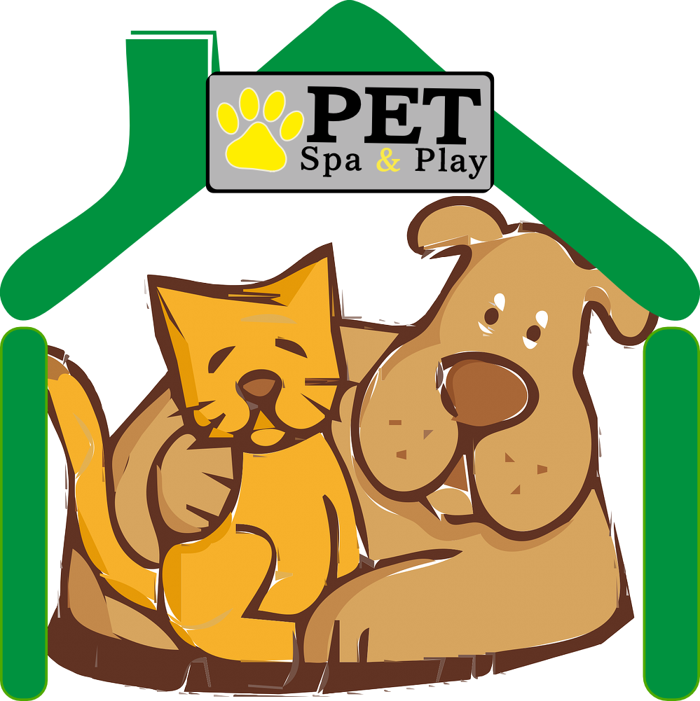 We - Cat And Dog Clip Art - Png Download (999x1001), Png Download