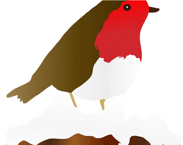 Robin Clipart Winter - Clip Art - Png Download (640x480), Png Download
