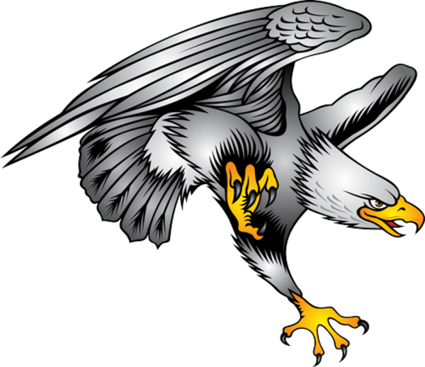 Bald Eagle Pics Art Clipart (600x518), Png Download