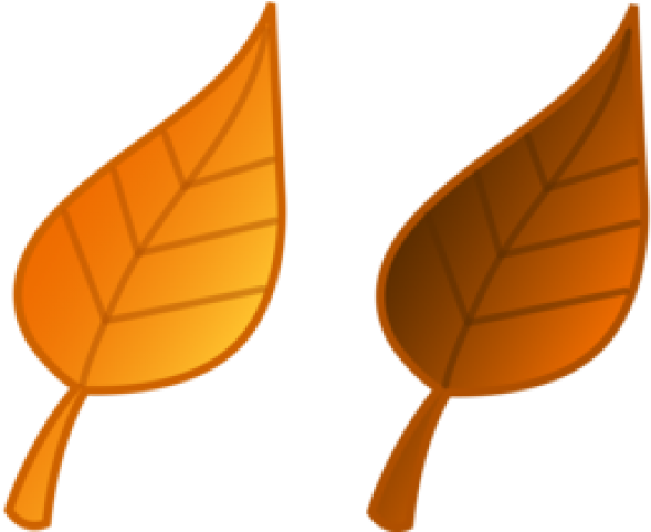 Fall Leaves Clip Art - Png Download (640x480), Png Download