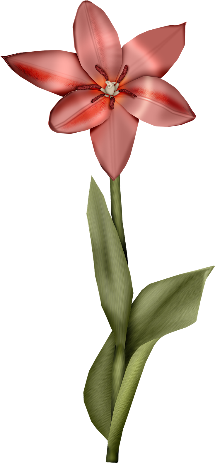 Birds Pretty Clipart 022 - Lily - Png Download (756x1600), Png Download