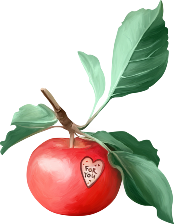 Apples, Clip Art, Fruit, Apple, Illustrations - .net - Png Download (600x770), Png Download