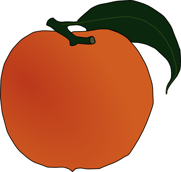 Peach Clip Art - Png Download (600x571), Png Download