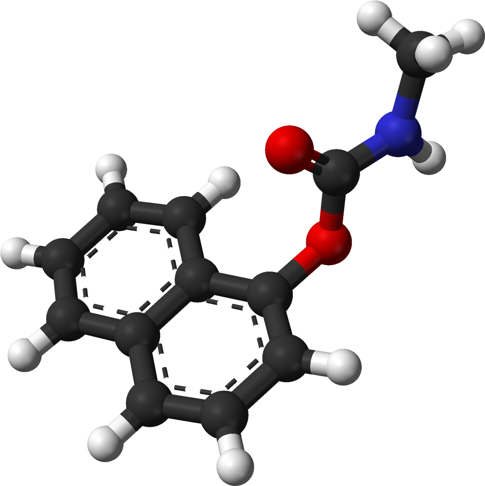 Amine Compounds (chemical Compounds) Clipart (1098x1100), Png Download
