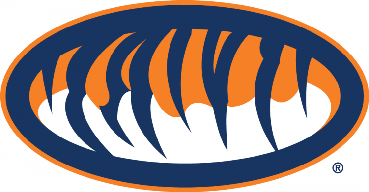 Auburn Tigers Iron Ons - Auburn Tigers Clipart (750x930), Png Download