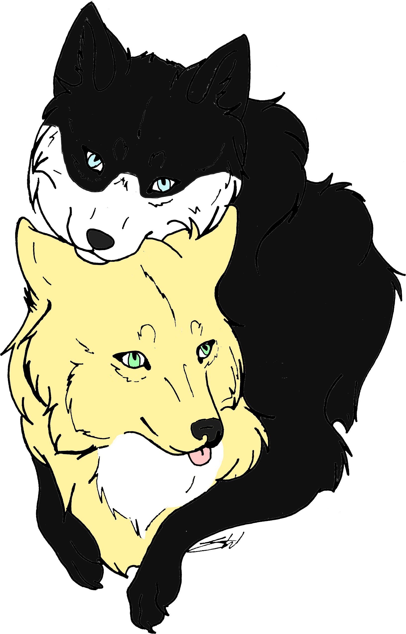 Sibling Wolf Lineart By Xx Auburn Wolf Xx-d567rqi - Animal Jam Clans Clipart (1715x2592), Png Download
