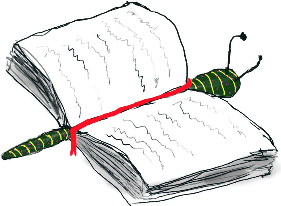 Bookerfly - Portable Network Graphics Clipart (977x715), Png Download