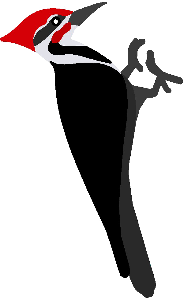 Woodpecker Png - Clipart Woodpecker Black And White Transparent Png