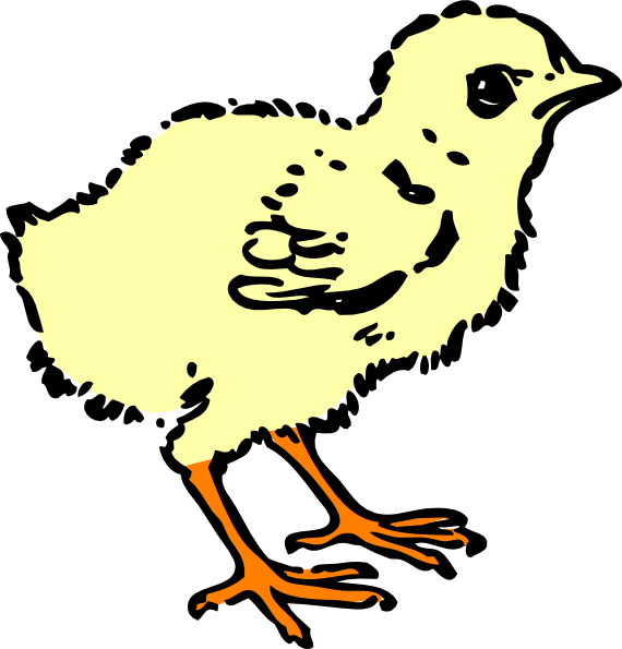 Chick Cartoon Black And White Clipart (570x595), Png Download