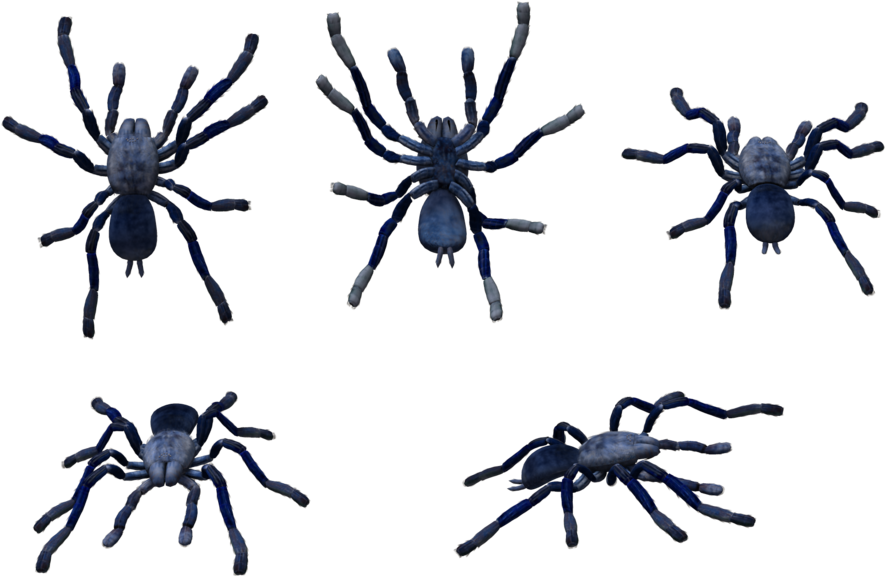 Roaring Twenties Clip Art Clipartsco - Blue Tarantula Png Transparent Png (1024x675), Png Download