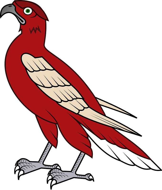 Cartoon Falcon Clipart - Falcon - Png Download (544x640), Png Download