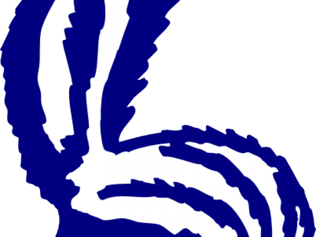 Skunk Clipart Back - Sign Skunk Xing 12 X 12 Inch Aluminum - Png Download (640x480), Png Download
