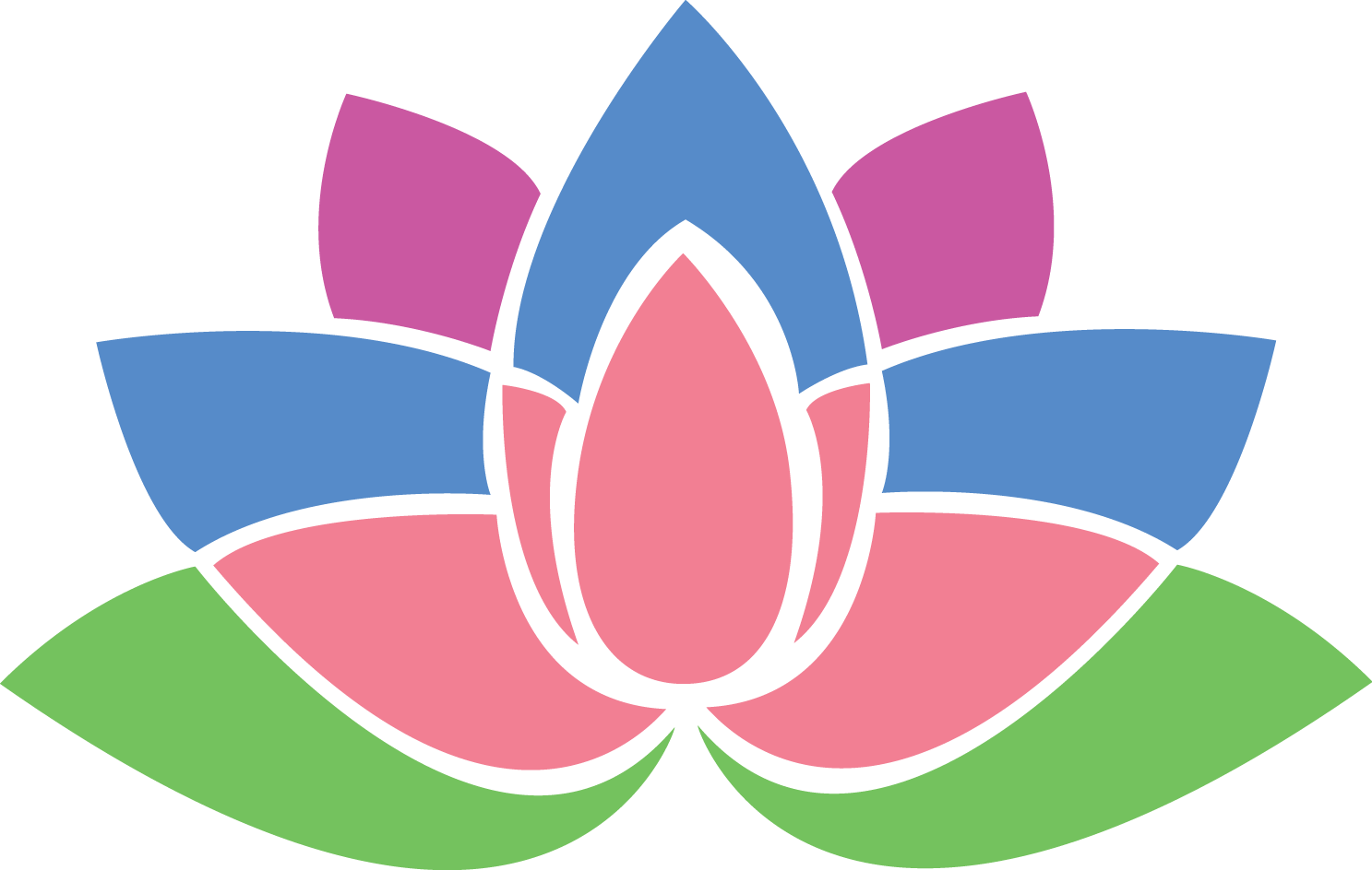 Tulipa Humilis Clipart (1487x944), Png Download