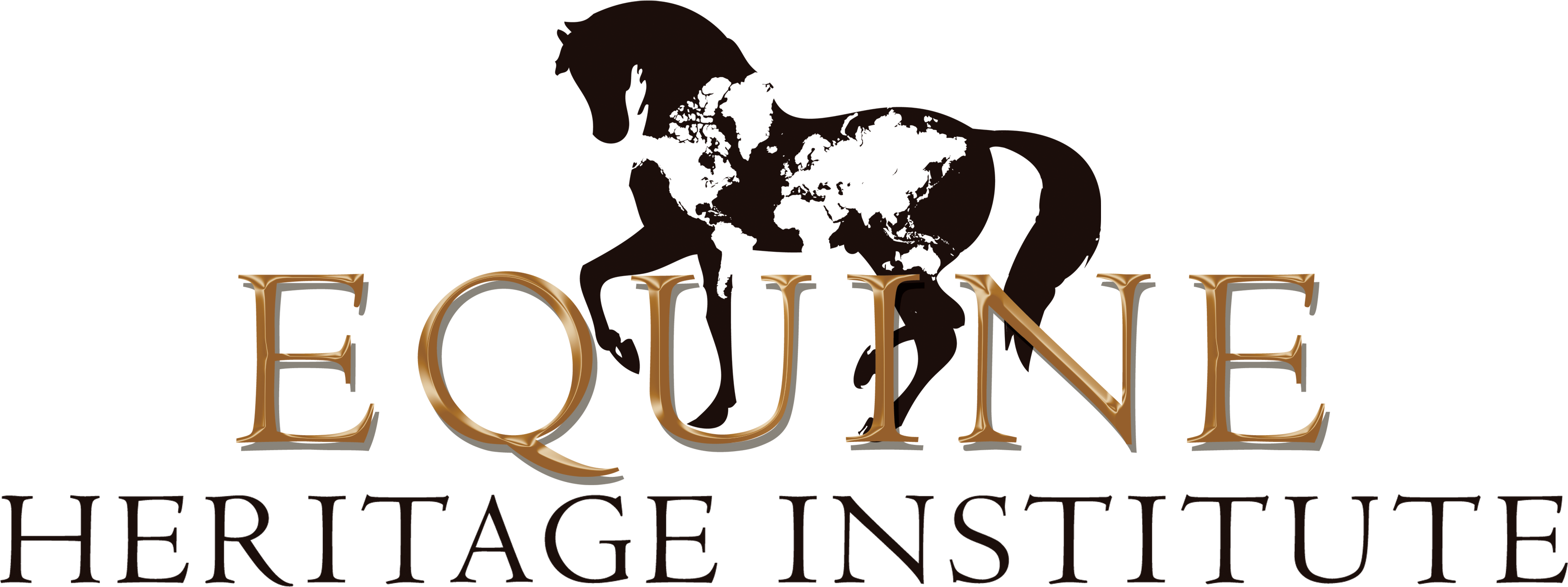 Founded In 1995 By Entrepreneur And Philanthropist, - Style And Apply Detailed World Map Wall Decal, Sticker, Clipart (3300x1360), Png Download