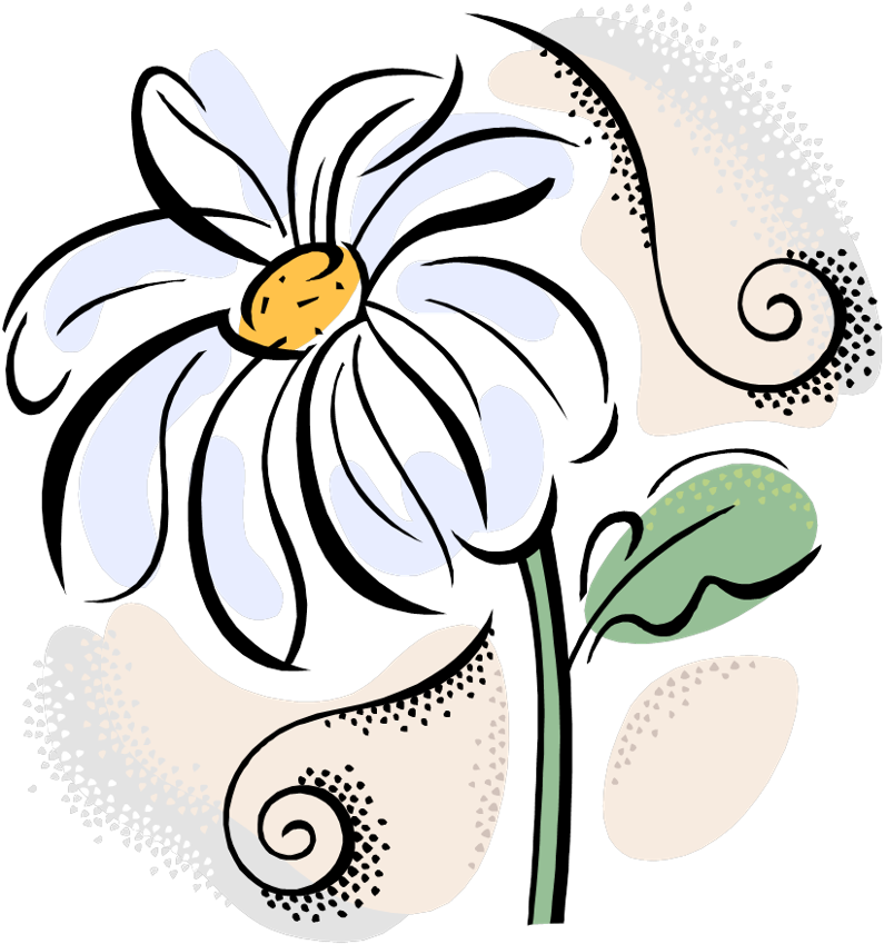 Bridal Showers - Clip Art - Png Download (800x862), Png Download