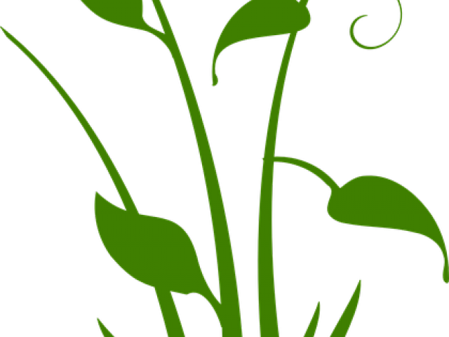 Vector Swirl Clipart Plant - Black Flower Silhouette Transparent - Png Download (640x480), Png Download