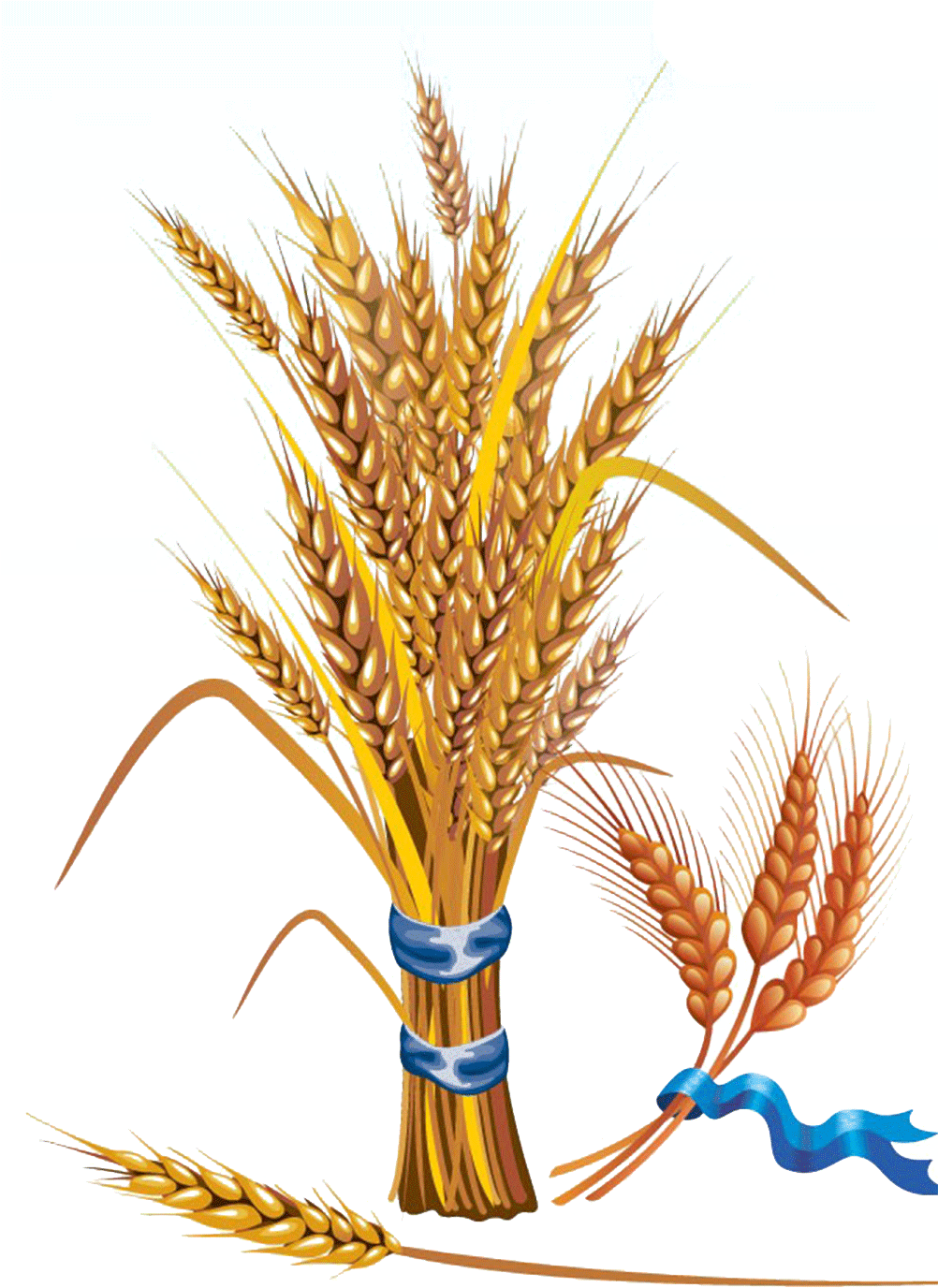 Wheat Clipart Feather - Cereal Grains: Evaluation, Value Addition And Quality - Png Download (1500x1500), Png Download